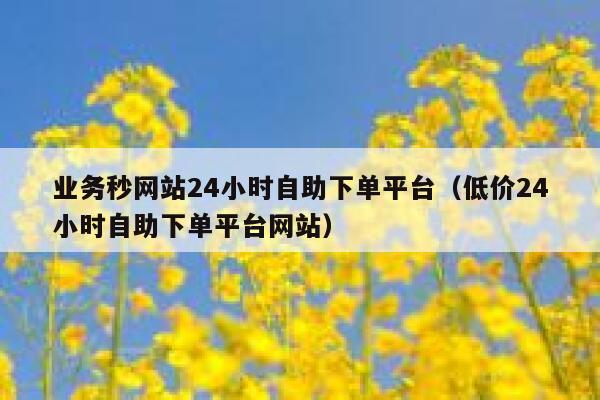 业务秒网站24小时自助下单平台（低价24小时自助下单平台网站） 第1张