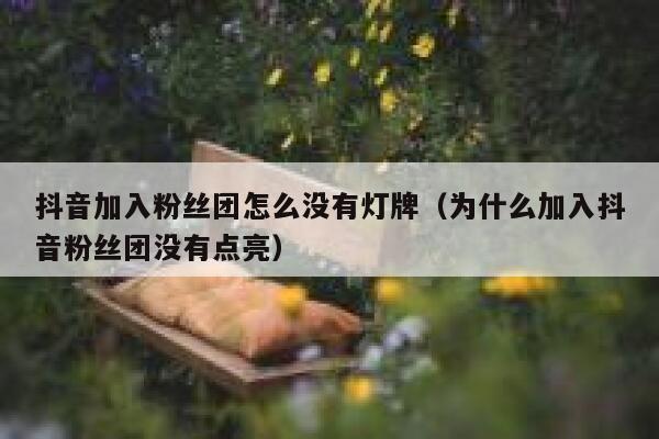 抖音加入粉丝团怎么没有灯牌（为什么加入抖音粉丝团没有点亮） 第1张