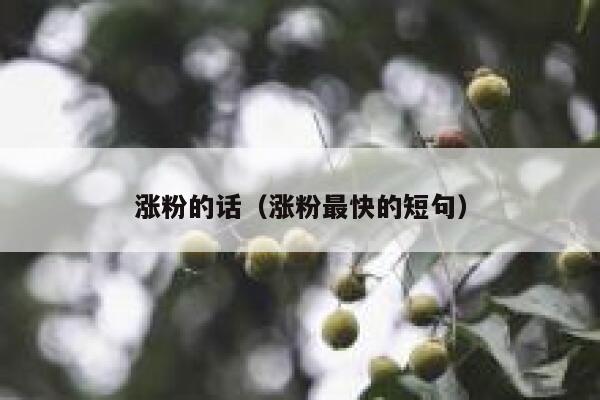 涨粉的话（涨粉最快的短句） 第1张