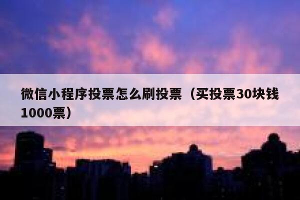 微信小程序投票怎么刷投票（买投票30块钱1000票） 第1张