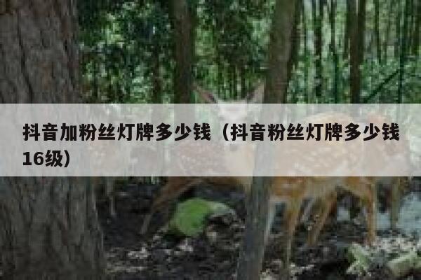 抖音加粉丝灯牌多少钱（抖音粉丝灯牌多少钱16级） 第1张