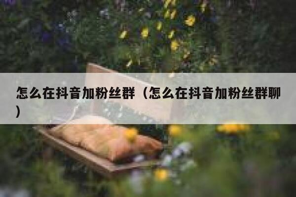 怎么在抖音加粉丝群（怎么在抖音加粉丝群聊） 第1张