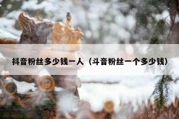 抖音粉丝多少钱一人（斗音粉丝一个多少钱） 第1张