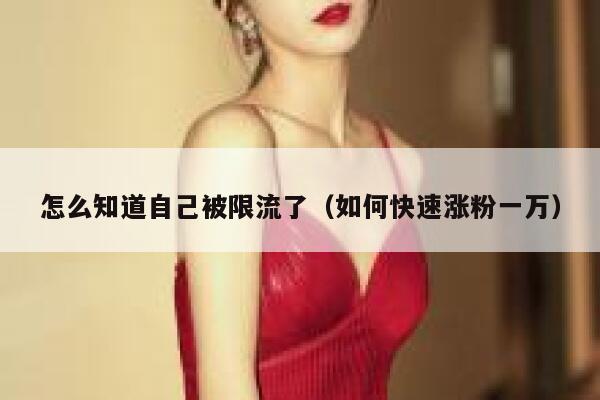 怎么知道自己被限流了（如何快速涨粉一万） 第1张