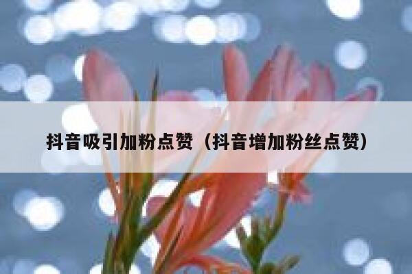 抖音吸引加粉点赞（抖音增加粉丝点赞） 第1张