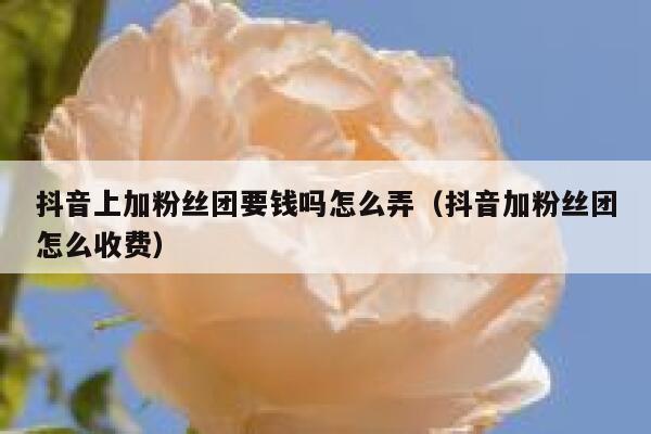 抖音上加粉丝团要钱吗怎么弄（抖音加粉丝团怎么收费） 第1张