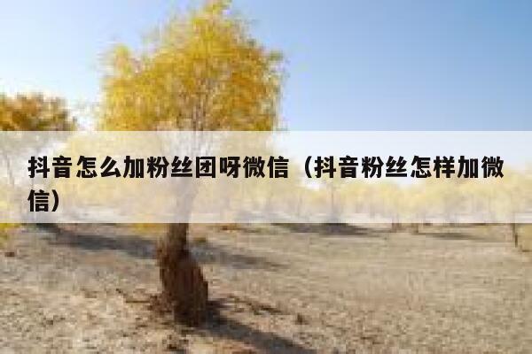 抖音怎么加粉丝团呀微信（抖音粉丝怎样加微信） 第1张