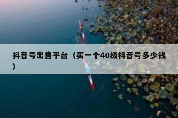 抖音号出售平台（买一个40级抖音号多少钱） 第1张