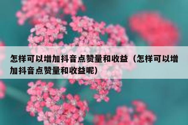 怎样可以增加抖音点赞量和收益（怎样可以增加抖音点赞量和收益呢） 第1张