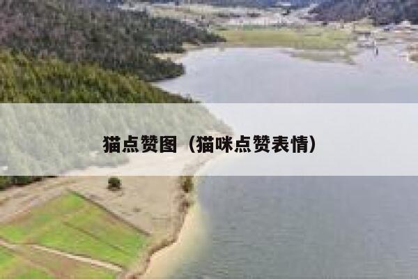 猫点赞图（猫咪点赞表情） 第1张