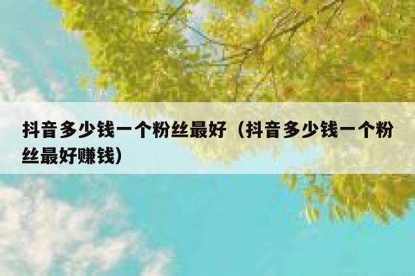抖音多少钱一个粉丝最好（抖音多少钱一个粉丝最好赚钱） 第1张
