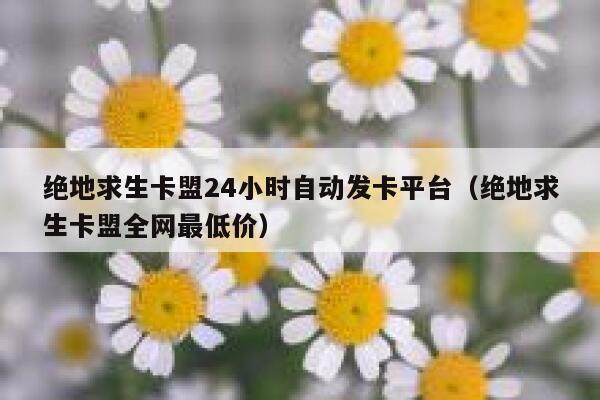 绝地求生卡盟24小时自动发卡平台（绝地求生卡盟全网最低价） 第1张