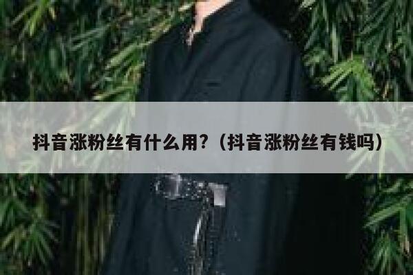 抖音涨粉丝有什么用?（抖音涨粉丝有钱吗） 第1张
