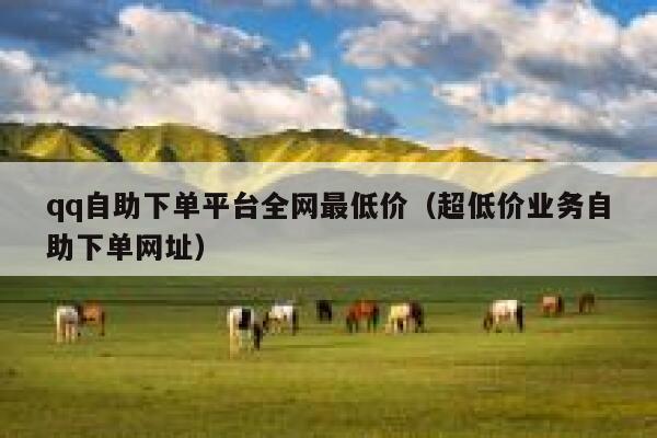 qq自助下单平台全网最低价（超低价业务自助下单网址） 第1张