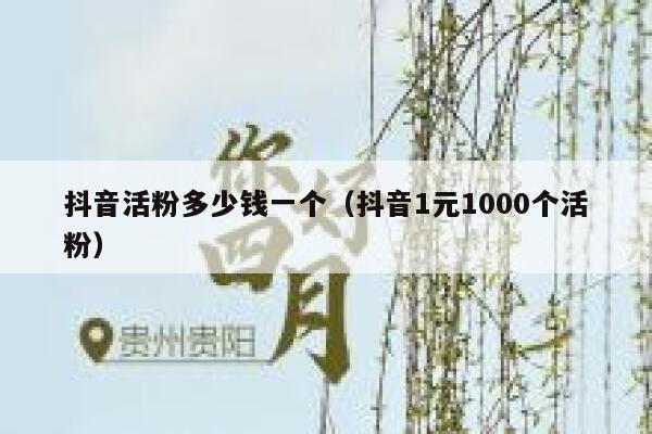 抖音活粉多少钱一个（抖音1元1000个活粉） 第1张