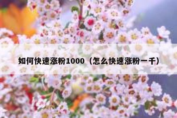 如何快速涨粉1000（怎么快速涨粉一千） 第1张