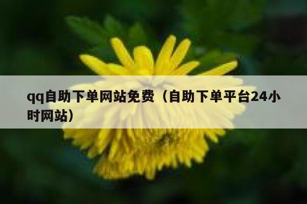 qq自助下单网站免费（自助下单平台24小时网站） 第1张