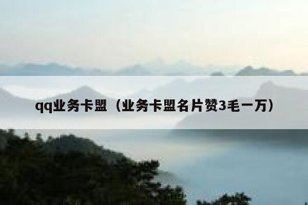 qq业务卡盟（业务卡盟名片赞3毛一万） 第1张