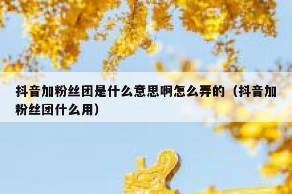 抖音加粉丝团是什么意思啊怎么弄的（抖音加粉丝团什么用） 第1张