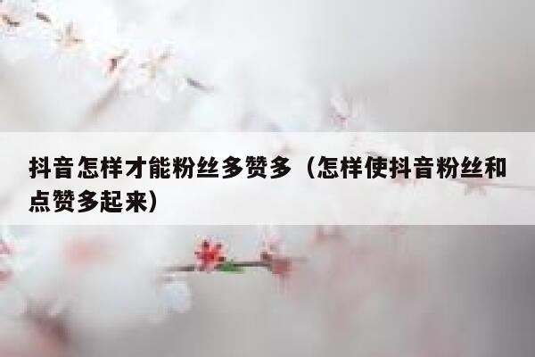 抖音怎样才能粉丝多赞多（怎样使抖音粉丝和点赞多起来） 第1张