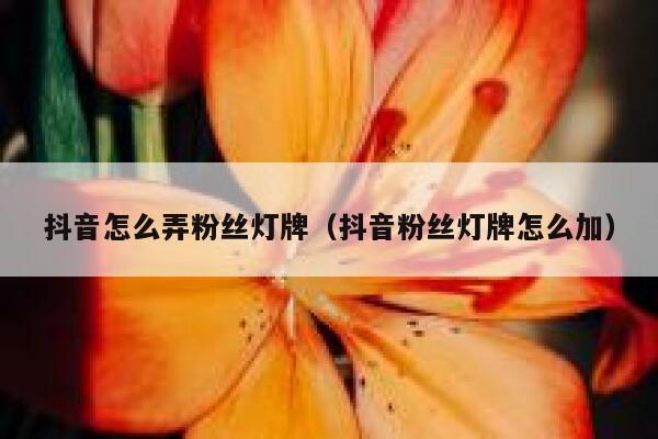 抖音怎么弄粉丝灯牌（抖音粉丝灯牌怎么加） 第1张