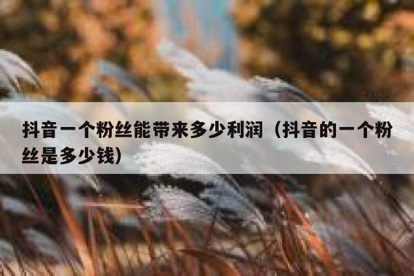抖音一个粉丝能带来多少利润（抖音的一个粉丝是多少钱） 第1张