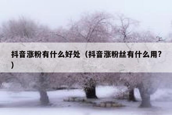 抖音涨粉有什么好处（抖音涨粉丝有什么用?） 第1张