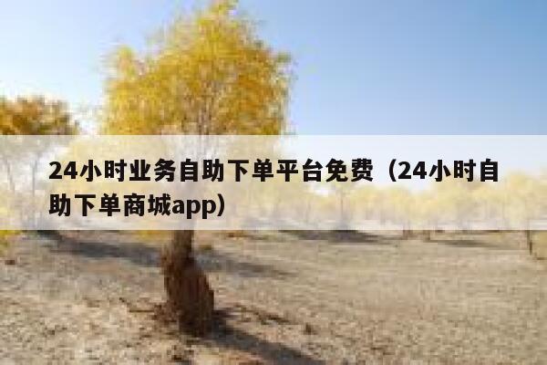 24小时业务自助下单平台免费（24小时自助下单商城app） 第1张