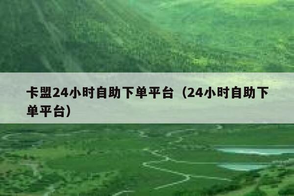 卡盟24小时自助下单平台（24小时自助下单平台） 第1张