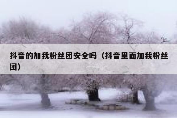 抖音的加我粉丝团安全吗（抖音里面加我粉丝团） 第1张