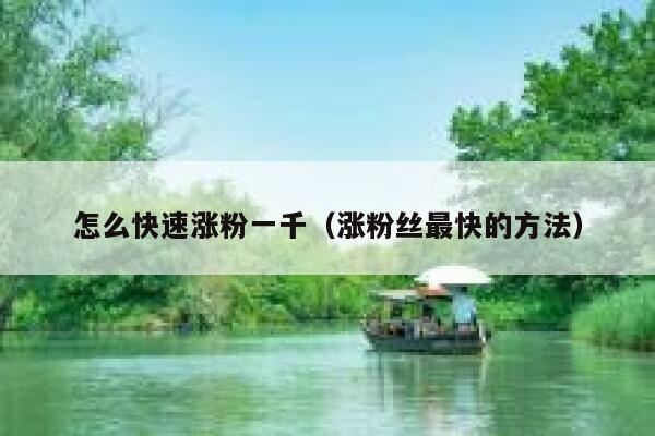 怎么快速涨粉一千（涨粉丝最快的方法） 第1张
