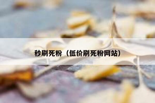 秒刷死粉（低价刷死粉网站） 第1张