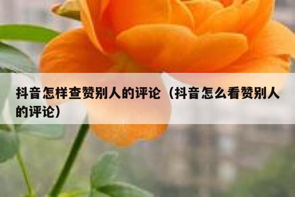 抖音怎样查赞别人的评论（抖音怎么看赞别人的评论） 第1张