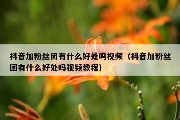 抖音加粉丝团有什么好处吗视频（抖音加粉丝团有什么好处吗视频教程） 第1张