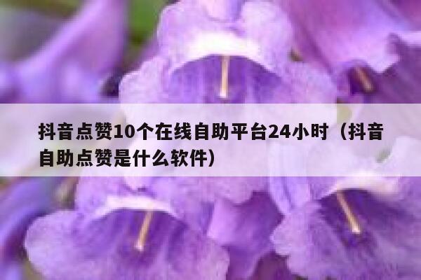 抖音点赞10个在线自助平台24小时（抖音自助点赞是什么软件） 第1张