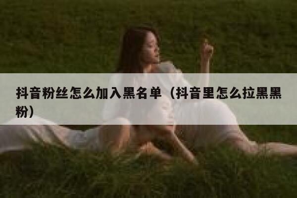 抖音粉丝怎么加入黑名单（抖音里怎么拉黑黑粉） 第1张