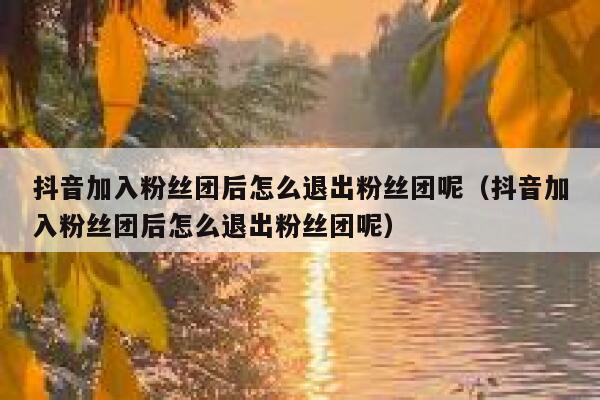 抖音加入粉丝团后怎么退出粉丝团呢（抖音加入粉丝团后怎么退出粉丝团呢） 第1张