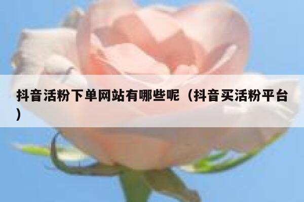 抖音活粉下单网站有哪些呢（抖音买活粉平台） 第1张