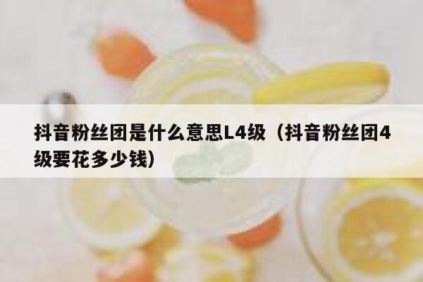 抖音粉丝团是什么意思L4级（抖音粉丝团4级要花多少钱） 第1张