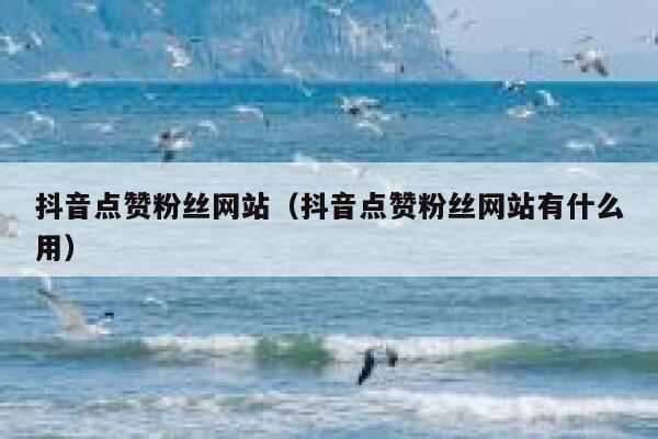 抖音点赞粉丝网站（抖音点赞粉丝网站有什么用） 第1张