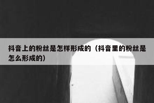 抖音上的粉丝是怎样形成的（抖音里的粉丝是怎么形成的） 第1张