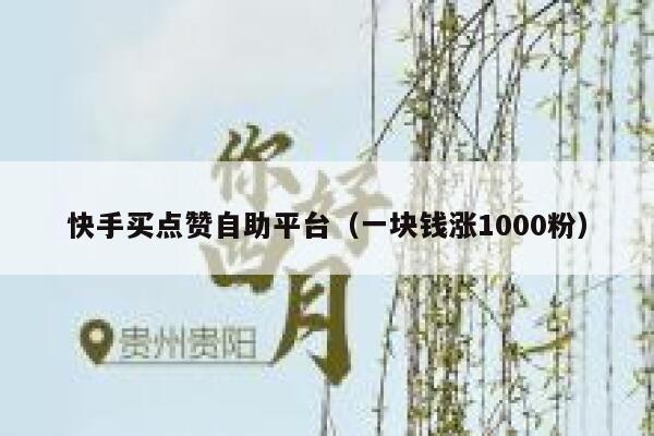 快手买点赞自助平台（一块钱涨1000粉） 第1张
