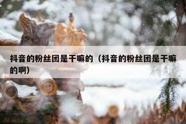 抖音的粉丝团是干嘛的（抖音的粉丝团是干嘛的啊） 第1张