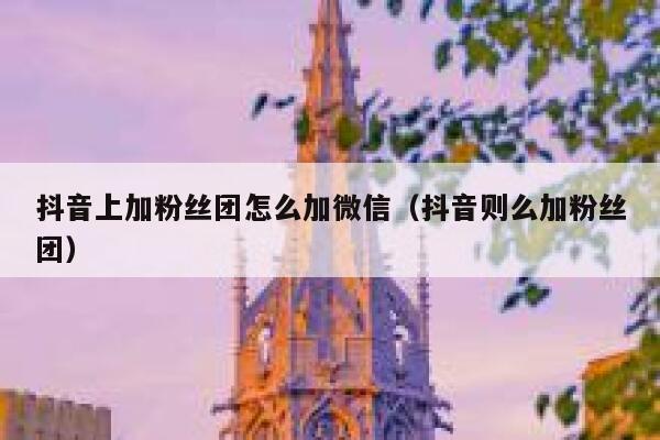 抖音上加粉丝团怎么加微信（抖音则么加粉丝团） 第1张