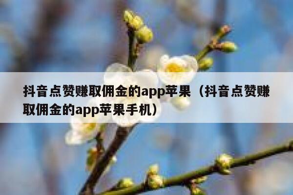 抖音点赞赚取佣金的app苹果（抖音点赞赚取佣金的app苹果手机） 第1张