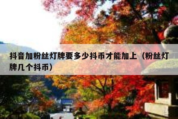 抖音加粉丝灯牌要多少抖币才能加上（粉丝灯牌几个抖币） 第1张