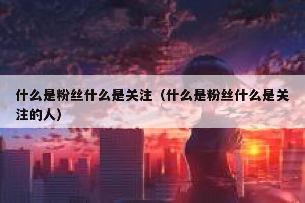 什么是粉丝什么是关注（什么是粉丝什么是关注的人） 第1张
