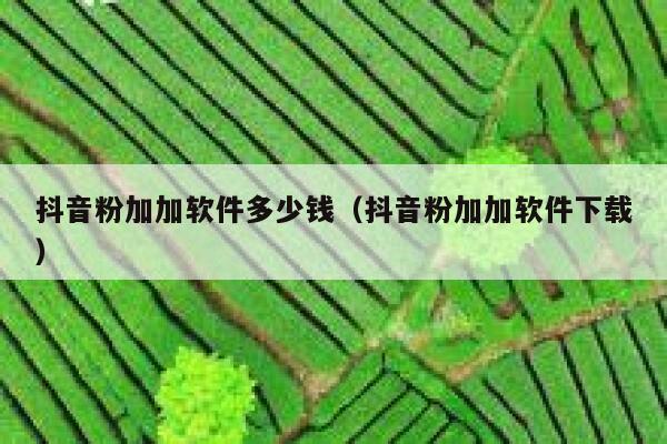 抖音粉加加软件多少钱（抖音粉加加软件下载） 第1张