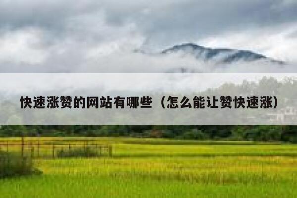快速涨赞的网站有哪些（怎么能让赞快速涨） 第1张