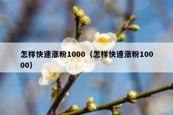 怎样快速涨粉1000（怎样快速涨粉10000） 第1张